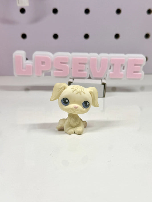 Littlest Pet Shop #436 Authentic Cream Golden Retriever Dog Exclusive Sam's Club