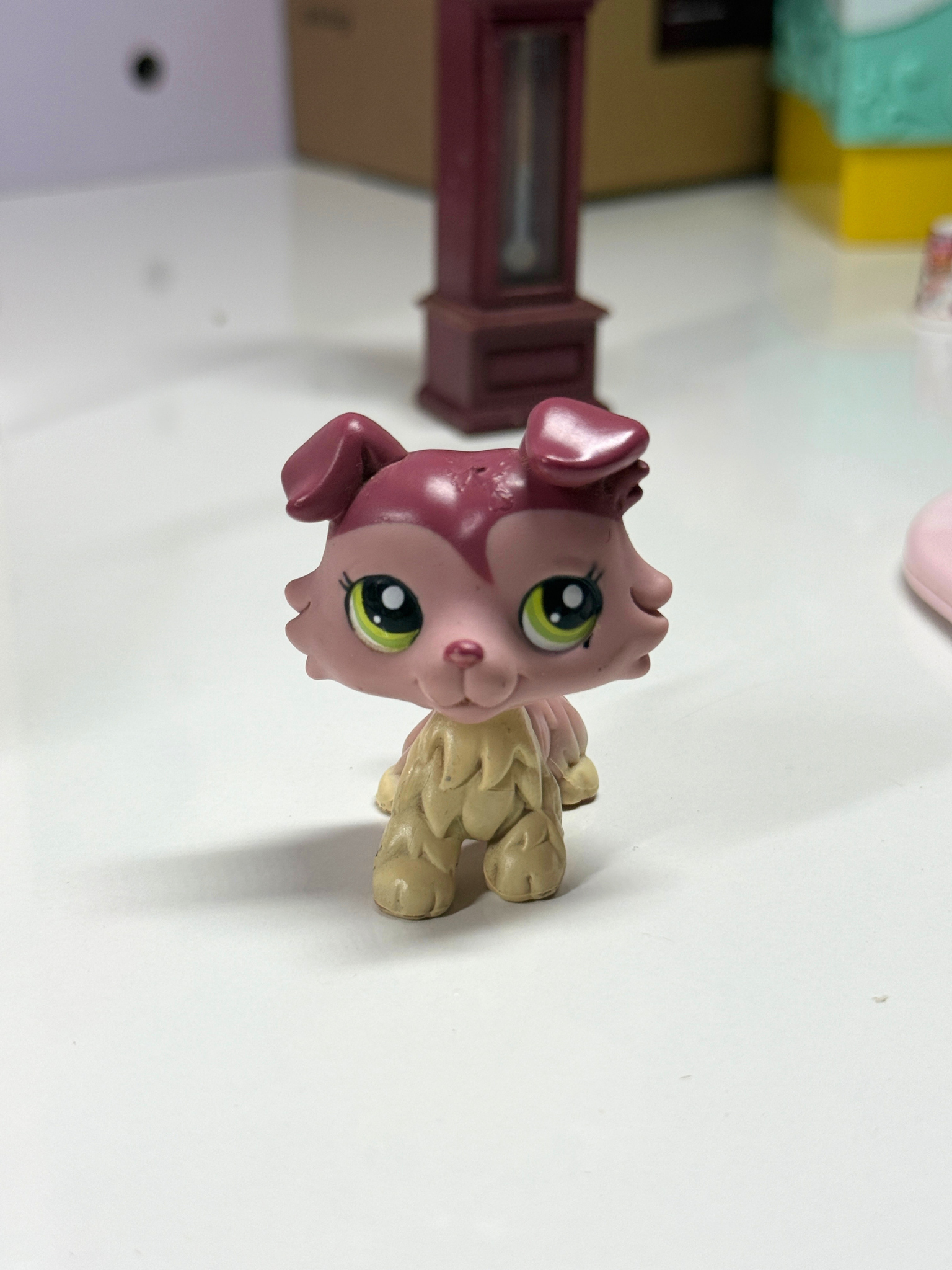 LPS Collie #1262 (TLC)