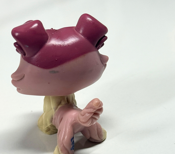 LPS Collie #1262 (TLC)