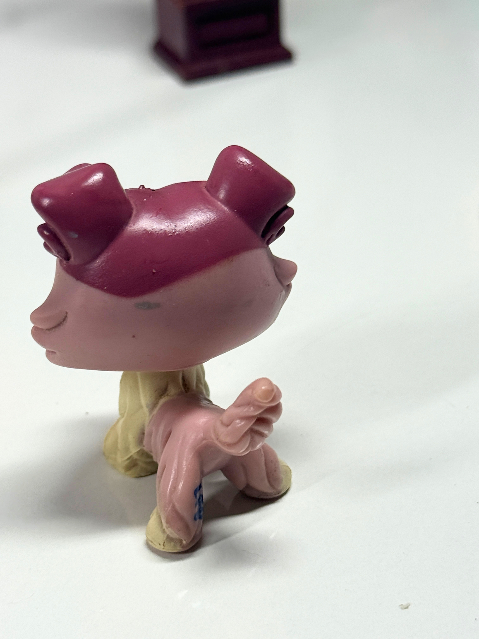 LPS Collie #1262 (TLC)