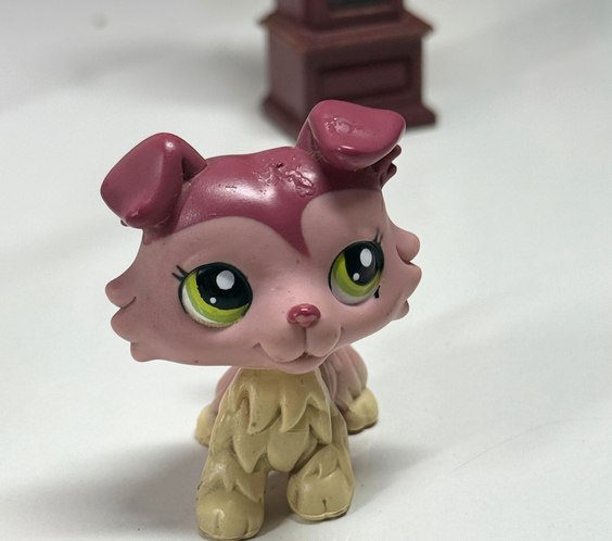 LPS Collie #1262 (TLC)