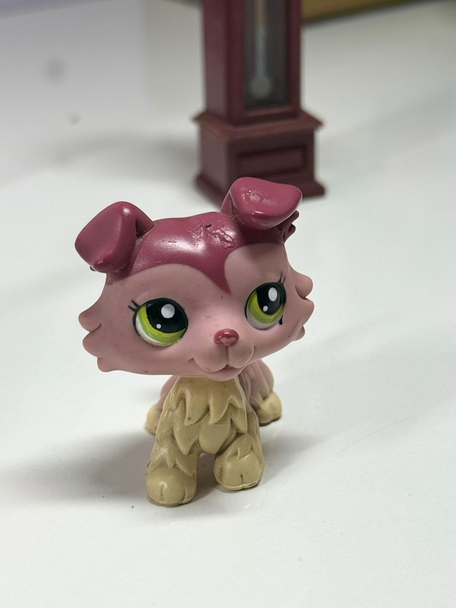 LPS Collie #1262 (TLC)