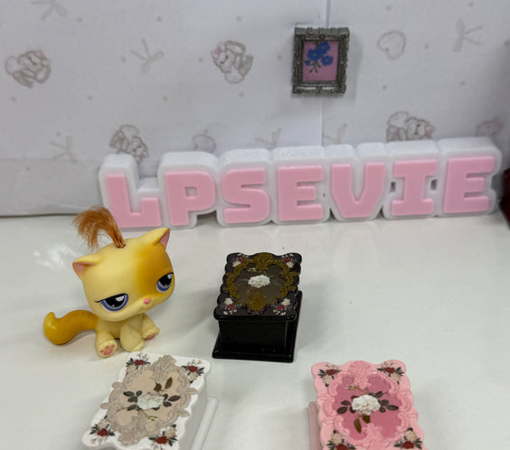 Floral Trinket Box for LPS