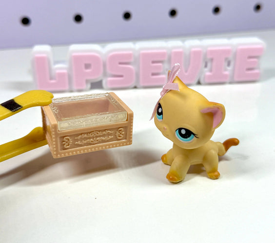 Miniature Jewelry Box Set of 2 | LPS Accessories & Dollhouse Decor