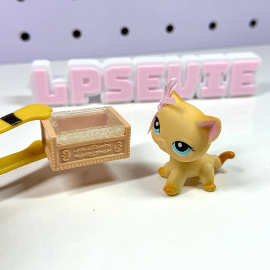 Miniature Jewelry Box Set of 2 | LPS Accessories & Dollhouse Decor