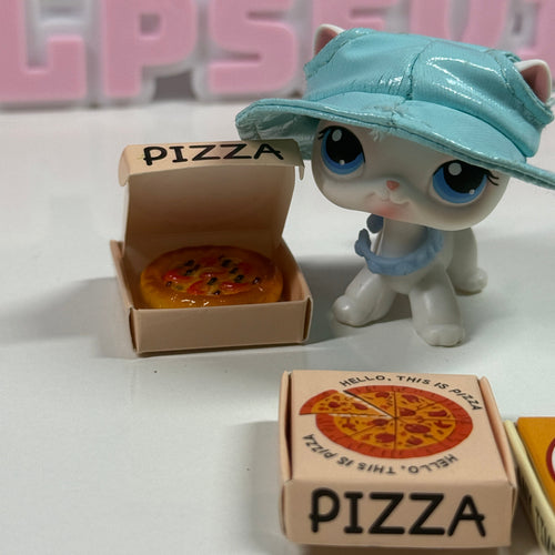 1 Set Miniature Pizza Box & Pizza | Dollhouse Food Accessory Opening Pizza Box