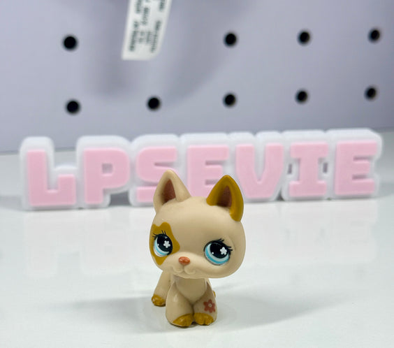 LPS #604 German Shepherd Spring Egg Exclusive 🐶✨