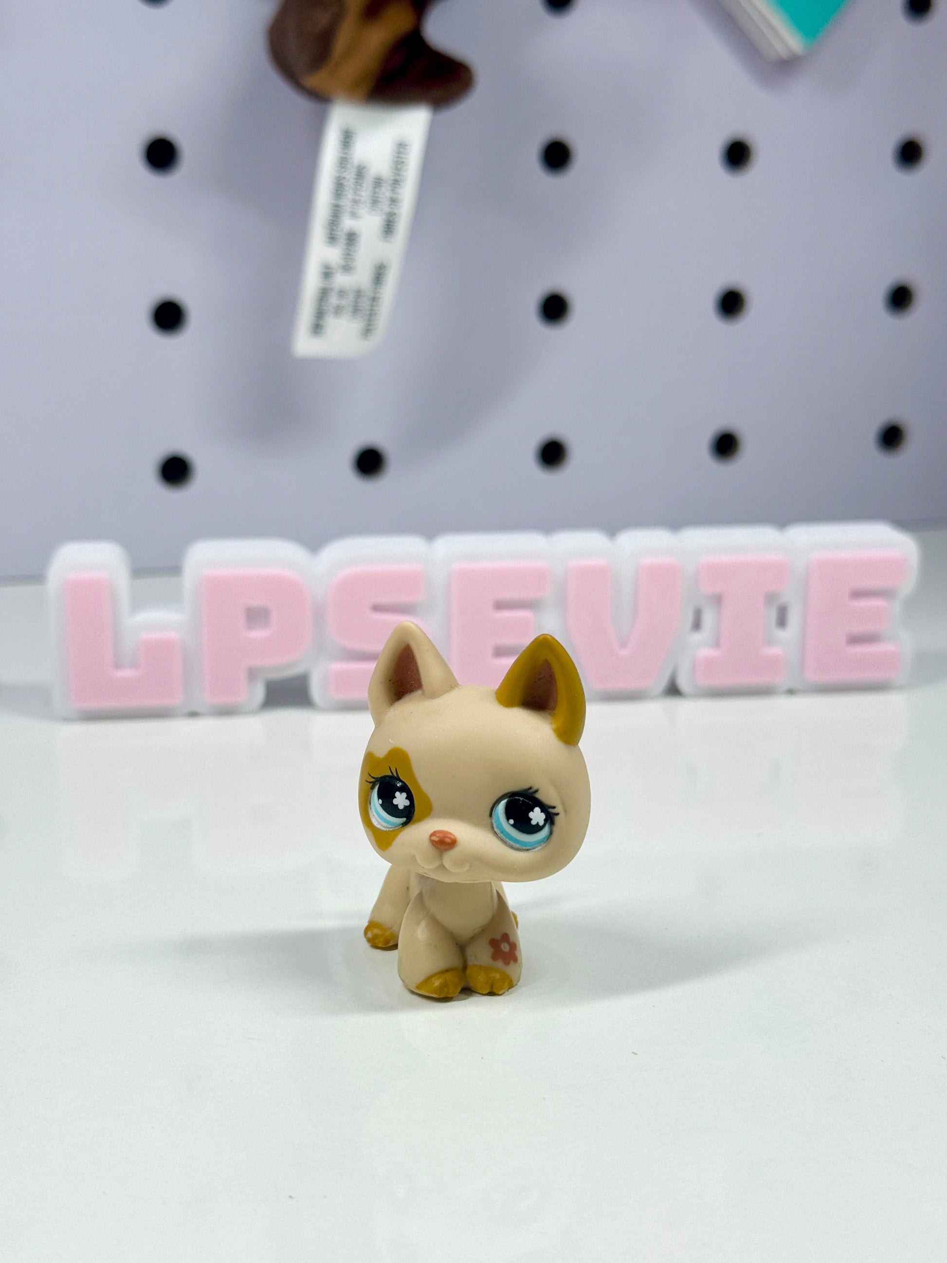 LPS #604 German Shepherd Spring Egg Exclusive 🐶✨