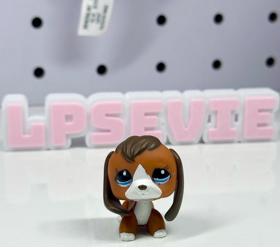 LPS Beagle #1104 (Target Exclusive)