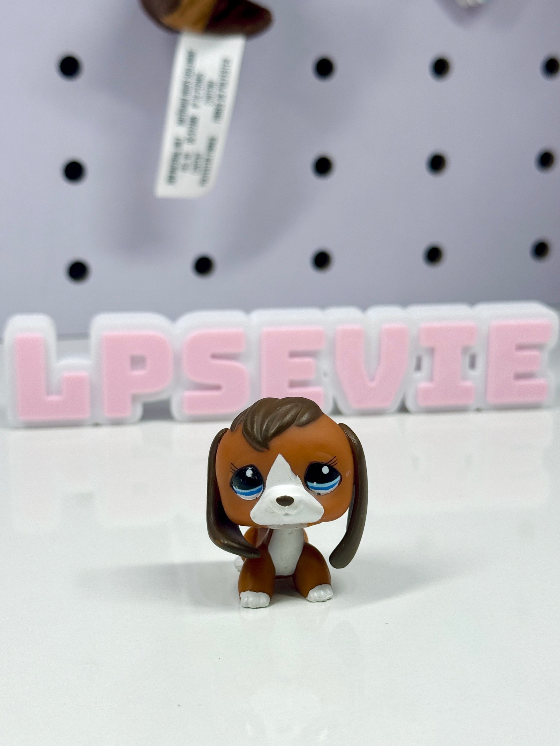 LPS Beagle #1104 (Target Exclusive)
