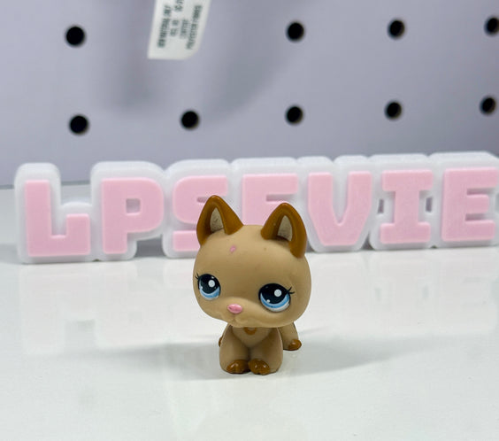 LPS German Shepard #2196 (XMAS Advent Calendar Exclusive)