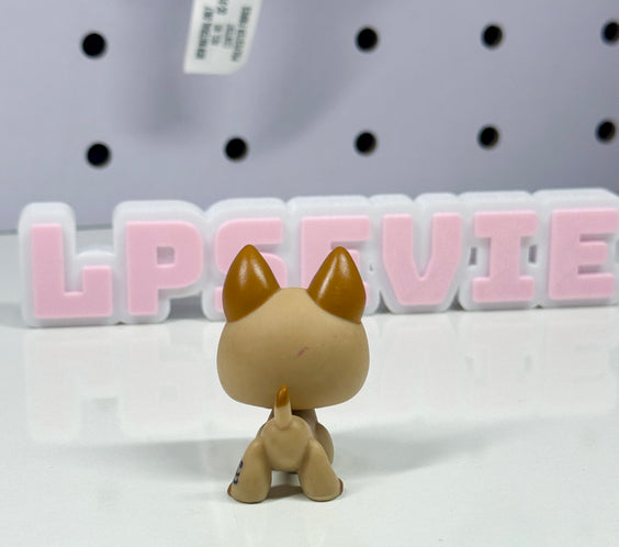 LPS German Shepard #2196 (XMAS Advent Calendar Exclusive)