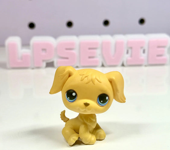 LPS GOLDEN RETRIEVER Blonde Blue Eyes #21