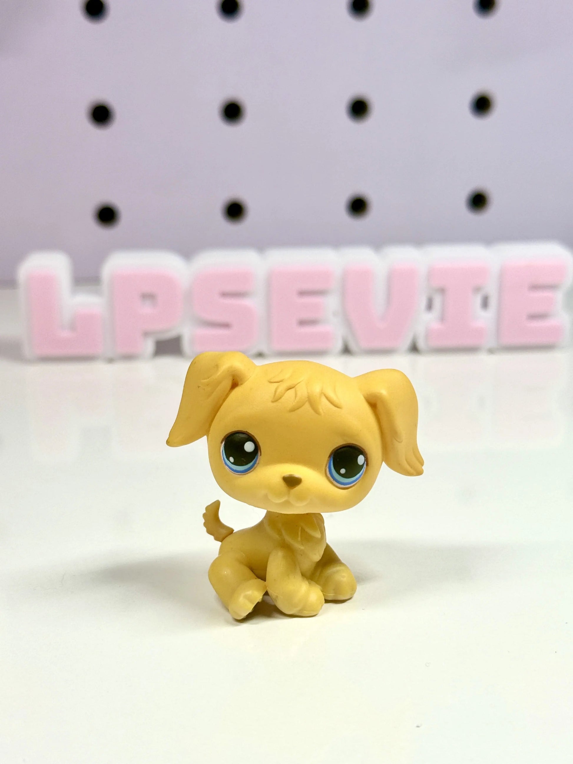 LPS GOLDEN RETRIEVER Blonde Blue Eyes #21