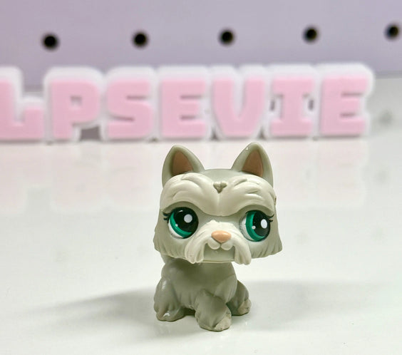 Authentic LPS Scottie #1782 🐾