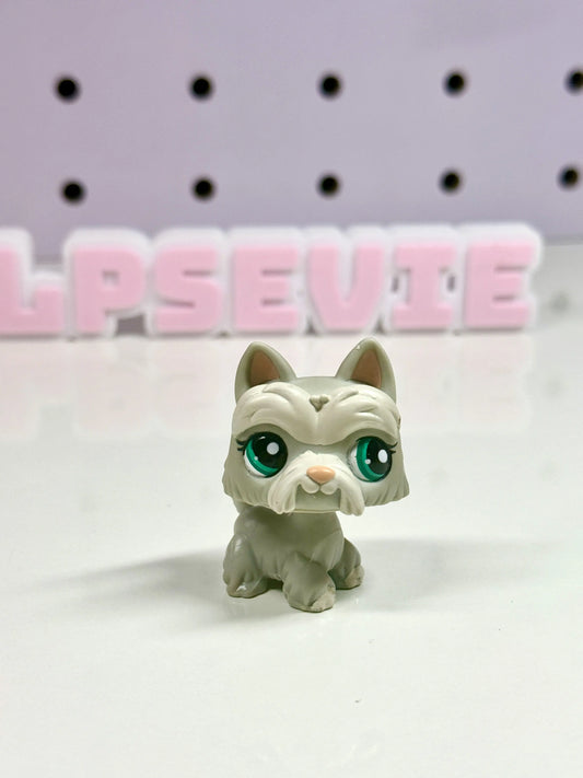 Authentic LPS Scottie #1782 🐾