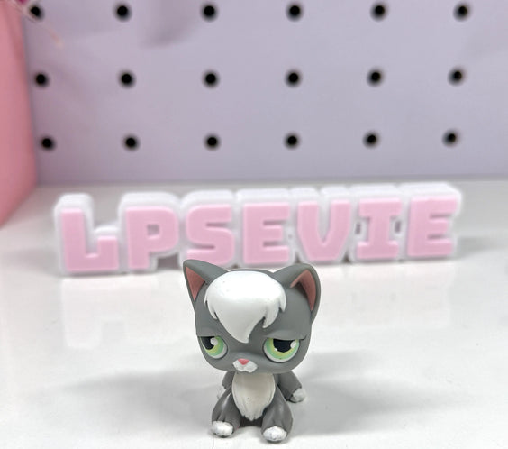 Authentic Littlest Pet Shop NO # Grey Angora Cat! 🐱✨