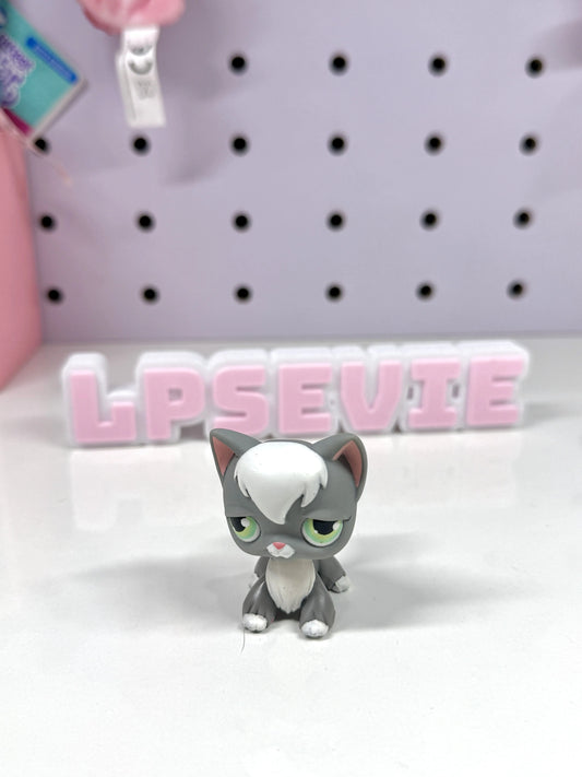 Authentic Littlest Pet Shop NO # Grey Angora Cat! 🐱✨