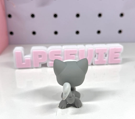 Authentic Littlest Pet Shop NO # Grey Angora Cat! 🐱✨