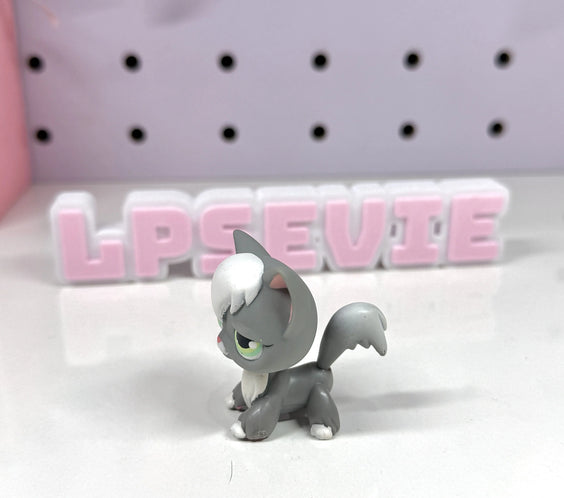 Authentic Littlest Pet Shop NO # Grey Angora Cat! 🐱✨