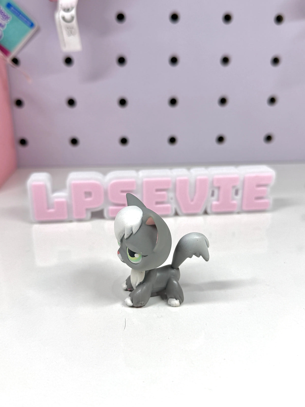 Authentic Littlest Pet Shop NO # Grey Angora Cat! 🐱✨