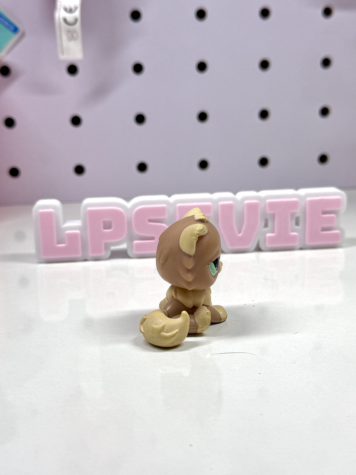 Authentic Littlest Pet Shop LPS #1063 Brown Persian Cat (Spring Egg Edition)
