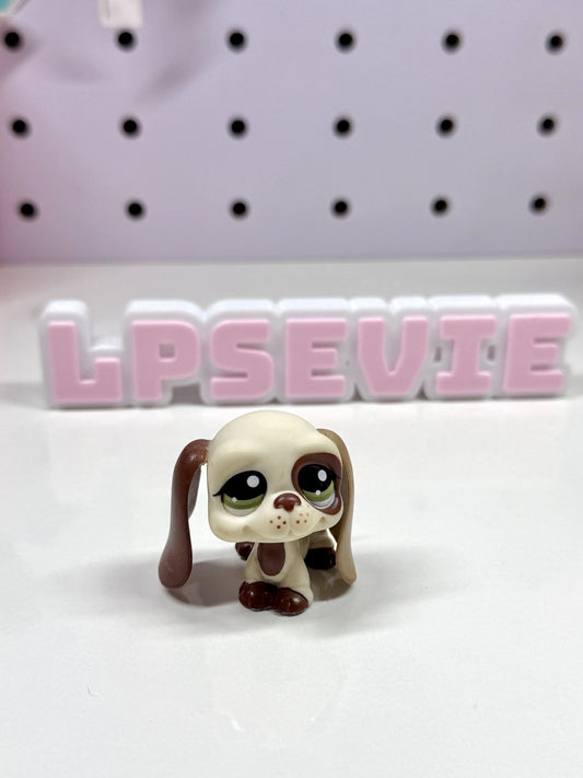 Authentic Littlest Pet Shop LPS #1594 Basset Hound