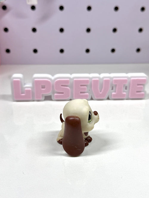 Authentic Littlest Pet Shop LPS #1594 Basset Hound