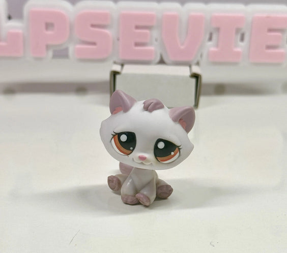 Authentic Littlest Pet Shop Bon Bon Sitting Cat #1637 | Lavender Purple Cat with Orange Eyes Hasbro G2 LPS