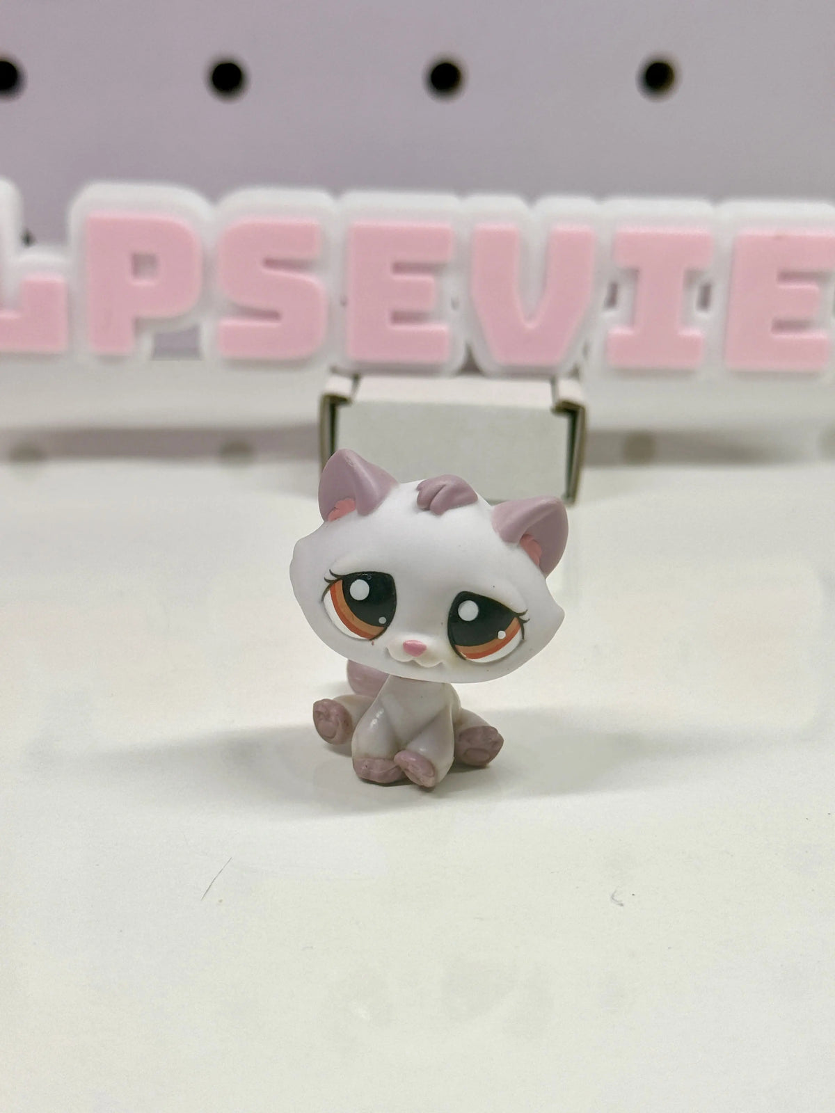 Authentic Littlest Pet Shop Bon Bon Sitting Cat #1637 | Lavender Purple Cat with Orange Eyes Hasbro G2 LPS