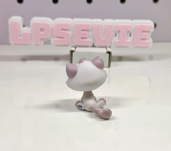 Authentic Littlest Pet Shop Bon Bon Sitting Cat #1637 | Lavender Purple Cat with Orange Eyes Hasbro G2 LPS