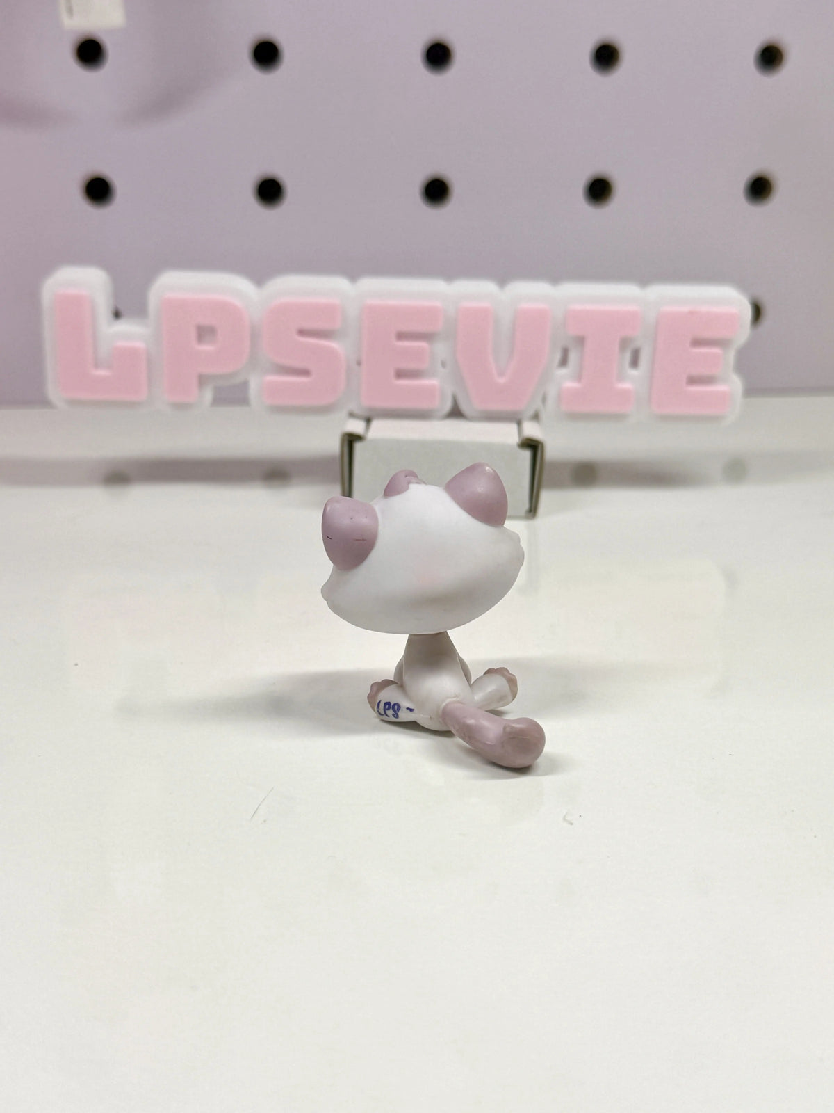 Authentic Littlest Pet Shop Bon Bon Sitting Cat #1637 | Lavender Purple Cat with Orange Eyes Hasbro G2 LPS
