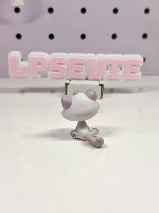 Authentic Littlest Pet Shop Bon Bon Sitting Cat #1637 | Lavender Purple Cat with Orange Eyes Hasbro G2 LPS