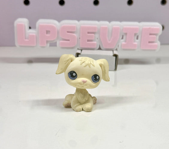 Littlest Pet Shop #436 Authentic Cream Golden Retriever Dog Exclusive Sam's Club